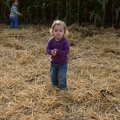 playing in the hay